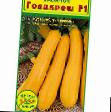 Courgettes varieties Goldkresh F1 Photo and characteristics
