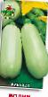 Courgettes varieties Rolik Photo and characteristics