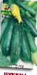 Courgettes varieties Cukesha Photo and characteristics