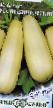 Zucchini sorter Snezhnogorskijj F1 Fil och egenskaper