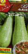 Calabacines variedades Ataman Foto y características