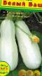 Courgettes varieties Belyjj Bash Photo and characteristics