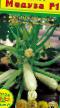 Le zucchine  Meduza F1 la cultivar foto