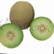 un melon  Posol F1 l'espèce Photo