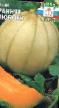 un melon  Rannyaya Lyubov l'espèce Photo