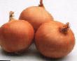 Onion varieties Taresko F1 Photo and characteristics