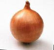 Onion varieties Saldo F1 Photo and characteristics