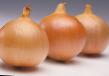 Onion varieties Bratko F1 Photo and characteristics