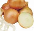Onion varieties Bosko F1 Photo and characteristics