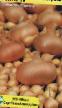 Κρεμμύδια ποικιλίες Vetraz φωτογραφία και χαρακτηριστικά