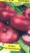 Crveni luk razredi (sorte) Krivichskijj rozovyjj Foto i karakteristike