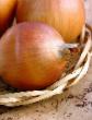 Onion varieties Market F1 Photo and characteristics