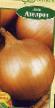 Onion varieties Azelroz Photo and characteristics