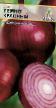 Onion varieties Temno-krasnyjj Photo and characteristics