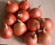 Onion varieties Vuehlta F1 Photo and characteristics