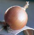 Onion varieties Dajjtona F1  Photo and characteristics
