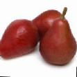 Pear varieties Crimson Star Photo and characteristics