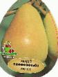 Pear varieties Venera Photo and characteristics