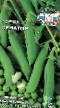 Peas varieties Senator Photo and characteristics