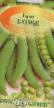 Peas varieties Batrak  Photo and characteristics