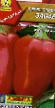 Πιπεριές ποικιλίες Zabava φωτογραφία και χαρακτηριστικά
