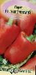 Peppers varieties Doverchivyjj F1 Photo and characteristics