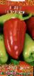Peppers varieties Petushok  Photo and characteristics