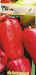 Peppers varieties Lidiya Photo and characteristics