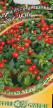 Peppers varieties Babe leto (ostryjj, dekorativnyjj) Photo and characteristics