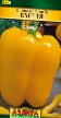 Peppers varieties Emelya Photo and characteristics