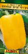 Paprikor sorter Limonnoe chudo Fil och egenskaper