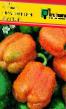 Papriky druhy Oranzhevoe chudo F1  fotografie a charakteristiky