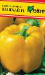Πιπεριές ποικιλίες Shankhajj F1  φωτογραφία και χαρακτηριστικά