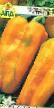 Πιπεριές ποικιλίες Patriciya φωτογραφία και χαρακτηριστικά