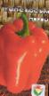 Peppers varieties Tolstosum Photo and characteristics