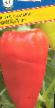 Peppers varieties Fisht F1 Photo and characteristics