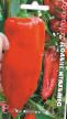 Peppers varieties Dolche italyano Photo and characteristics