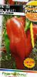 Peppers varieties Russkijj razmer F1 Photo and characteristics