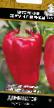 Peppers varieties Dominator Photo and characteristics