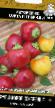 Πιπεριές ποικιλίες Rubinovoe ozherele φωτογραφία και χαρακτηριστικά