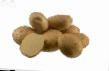 Potatoes varieties Fresko Photo and characteristics