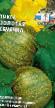 Dýně druhy Zolotaya semechka fotografie a charakteristiky