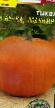 Pumpkin varieties A nu-ka, podnimi Photo and characteristics