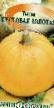 Pumpkin  Kustovaya zolotaya grade Photo