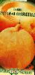 Тиква разреди (сорте) Кустовая оранжевая фотографија и карактеристике