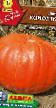 Pumpkin  Konfetka grade Photo