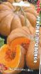 Pumpkin varieties Muskat Provansa Photo and characteristics
