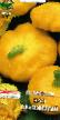 Патишон тиквице разреди (сорте) НЛО оранжевый фотографија и карактеристике