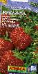 Lesní jahody druhy Ehlan  fotografie a charakteristiky