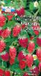 Lesní jahody druhy Rejjnskijj vals fotografie a charakteristiky